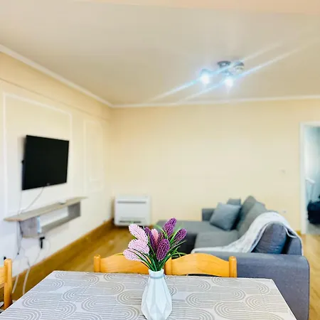 Apartment Cozy Loft For Groups 24,7selfcheckin Tirana